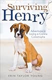 Surviving Henry: Adventures in Loving a Canine Catastrophe