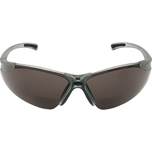 Radians C2-210 Bi-Focal Reading Safety Glasses with Smoke 1.0 Lens