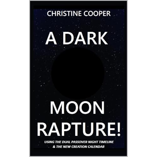 A DARK MOON RAPTURE! Audiolibro Por Christine Cooper arte de portada