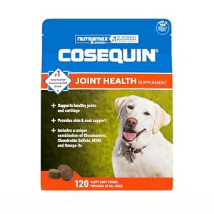 Nutramax Cosequin Joint