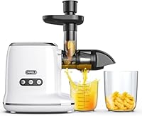 Slow Masticating Juicer: Cold Press Juicers Machines with Reverse Function & Quiet Motor for Vegetable and Fruit, 90% Juice Yield, BPA-Free, Easy to Cleaan with Brush