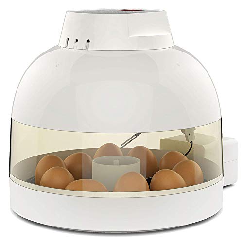 TAIMIKO Egg Incubator 10 Eggs Automatic Egg Incubator Poultry Hatcher Digital LED Display Auto Temperature Control Easy to Observe for Chickens Ducks Birds Family Use