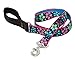 LupinePet 1-Inch Flower Power Dog Lead, 6-Feet