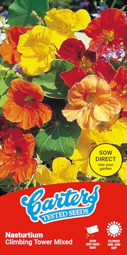 Carters Nasturtium Climbing Mixed Seeds Easy to Grow Climbing Flowers for Garden Trellis Fences Hanging Baskets Hardy Annual Colourful Blooms