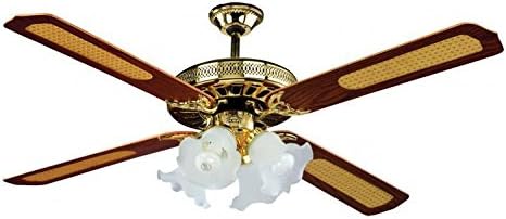 Ventilatori solari in soffitta