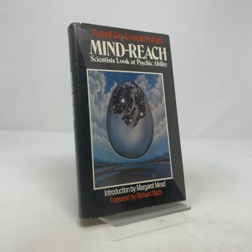 Mind-Reach view 2