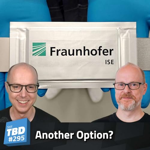 295: Why Aluminum Batteries?