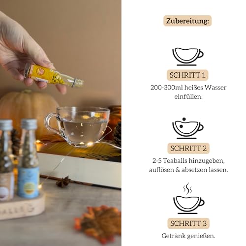 TEABALLS BIO - MINZE für ca. 40 Tassen Tee