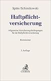 Haftpflichtversicherung: Kommentar zu den AHB und weiteren Haftpflichtversicherungsbedingungen (Grauer Kommentar)