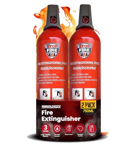 ReinoldMax Petit Extincteur Voiture | Mini extincteur Bateau | Extincteur Caravane | Extincteur Compact | Mini Extincteur Barbecue Extincteur Maison 5 in 1 | Extincteur Aérosol (2x750ml)