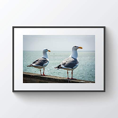 C-US-lmf379581 - Lámina enmarcada de Madera contrachapada, diseño de gaviotas en el Muelle de Santa Cruz