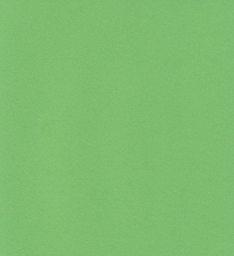 エスケント ケント紙 スターカラー 八切 ライム 100枚 5743008