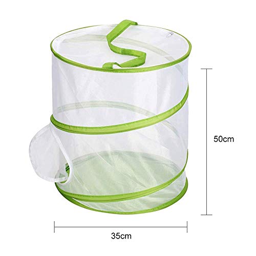 kokokwad Folding Cage Net Insect Butterfly Habitat Cage Anti Insect Fly Trap Breeding Plant Mantis Butterfly Pray Catch (L)