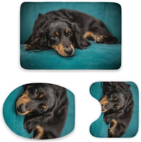 gC}bg 3_Zbg_bNXth  t^Jo[ oX}bg z ~߉H R hL @Ő􂦂 ӂӂ 