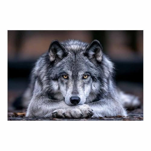 Toile de loup sauvage calme pour créer une ambiance zen dans votre salon