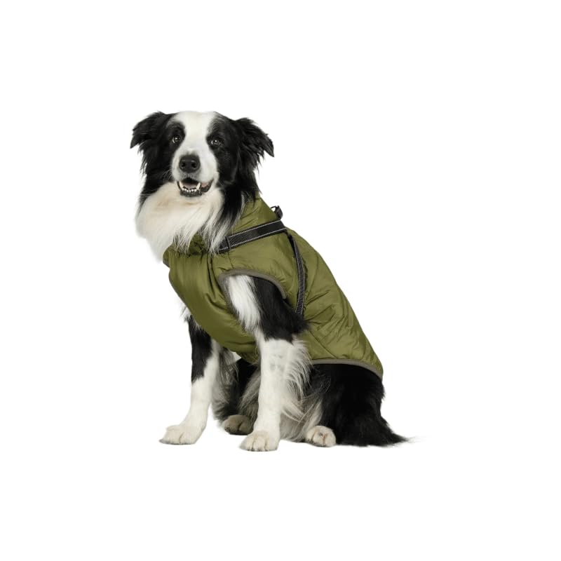 DoggyKings™ 3 in 1 Jacket (This Size Fits Small and Medium-sized Dogs, Such As Staffordshire Bull Terriers; Sizes Run Small and May Not Fit Large Dogs)