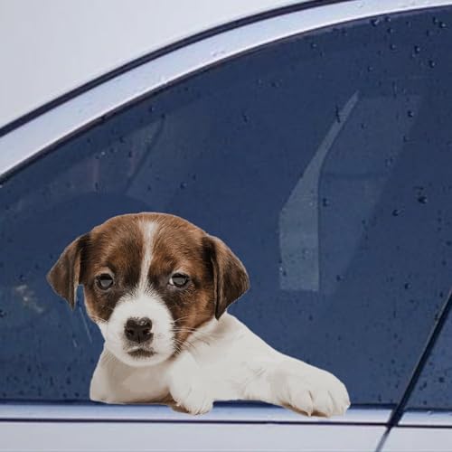 Image of Jack Russell Terrier Little Doggy Car Window Stickers Jack Russell Terrier Little Doggy Car Decal Animal Pet Window Decal Car Bumper Decals Decor for Truck Window Bumper Gift to Dog Lover