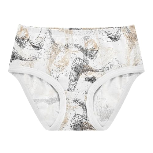 Briefs Underwear for Daily Wear Organic Cotton Toddler Underwear for Toddlers in Sizes 2T,3T, 4T, 5T, 6Y and 8Y