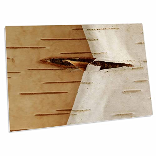 3dRose Oregon, Keizer, Peeling bark on a Paper Birch