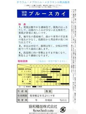 Amazon | ブルースカイ みかど協和のオクラ種です | 野菜