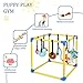 Liitrton Puppy Play Gym - Small Dogs Play Gym with 8 Hanging Toys, Indoor Puppy Jungle Gym with Interactive Dog Enrichment Toys, 19.5