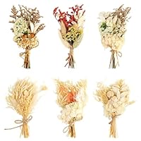6 Bündel Trockenblumenstrauß Klein, Natürliche Trockenblumen zum Basteln Weiß Beige, Mini Getrocknete Blumen für DIY Handwerk Heimdekoration Hochzeitsdekoration