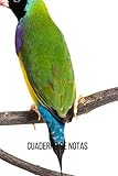 diamante gould canto  Cuaderno de notas Diamante de gould: Diario de composición con líneas. Cuaderno de Diamante de gould 100 páginas.