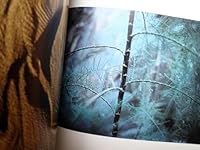 Grand Canyon of the Living Colorado B000BAS0DS Book Cover