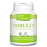 Serafin Tribulus Naturkapseln – Tribulus terrestris – 90 Kapseln – Erd-Burzeldorn + Zink + Vitamin E – Fruchtbarkeit, Unterstützung der Genitalien und Harnwege, Energie, Immunität, Muskeln