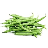 Top Crop Bũsh Green-béan SÉÉds (25) -