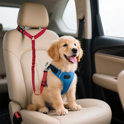 Nevoluxer Ceinture de sécurité| Harnais pour Petits & Moyens | Laisse Chien Voiture réglable (50-65 cm) | Ceinture securite Chien Voiture | réflecteurs Nocturnes – vue 2