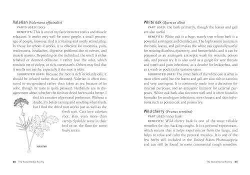 Storey Publishing, Llc ILLUSTRATIONS THROUGHOUT Herbs For Common Ailments: How To Make And Use Herbal Remedies thumb #3