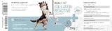 ReaVET Collagen Reactive – Premium Kollagenpulver für Hunde I Gelenkpulver zur täglichen Gelenkpflege I Kollagen Unterstützt Gelenke, Beweglichkeit & Bindegewebe 250g