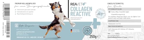 ReaVET Collagen Reactive – Premium Kollagenpulver für Hunde I Gelenkpulver zur täglichen Gelenkpflege I Kollagen Unterstützt Gelenke, Beweglichkeit & Bindegewebe 250g