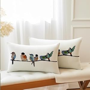 12×20 lumbar pillow decorative throw pillowssmall throw pillows for couchhand painted outdoor birds pillowcasesspring summer pillows decorative throw cushion covers linen for sofa teal blue  urban country home decor