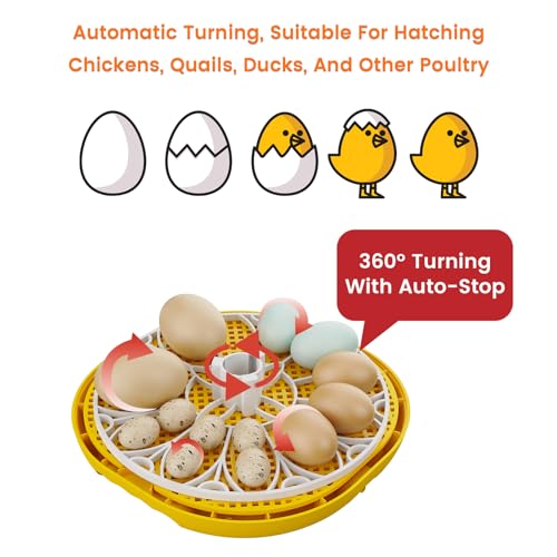 TRIOCOTTAGE 12 Clear Egg Hatching Incubator with Automatic Egg Turning and Auto Water Replenishment for Chicken Eggs and Quail Egg (Eco-Friendly Packaging)