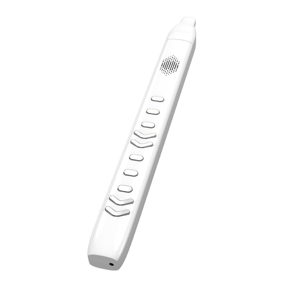 Strumento a fiato elettronico, flauto for sassofono, flauto dolce, flauto, suono, tubo del vento elettrico, portatile, facile da usare, adatto a bambini, adulti, anziani (Color : Black)