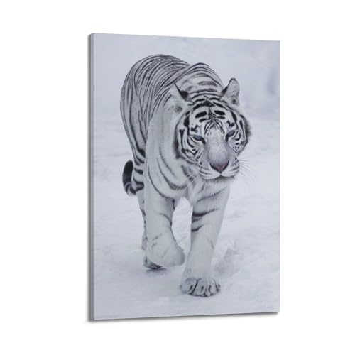 Poster tigre blanc 50x75 suspendu ZHOUKEG salon mur