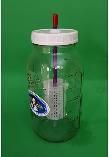 Kefir Fermenter (1.5l/50oz) with Enlarged Container WITH KEFIR GRAINS