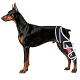 Dog Knee Brace for Back Leg,Adjustable Dog Leg Brace with Metal Stabilizers for Relieve ACL/CCL Pain,Universal Use of 4 Legs, S.（Moysoon Authorized Seller: Xinqisheng Industry）