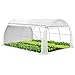 VOUNOT kas, plastic tomatenhuis, folietunnel, 4x3x2m, 12m² kopen