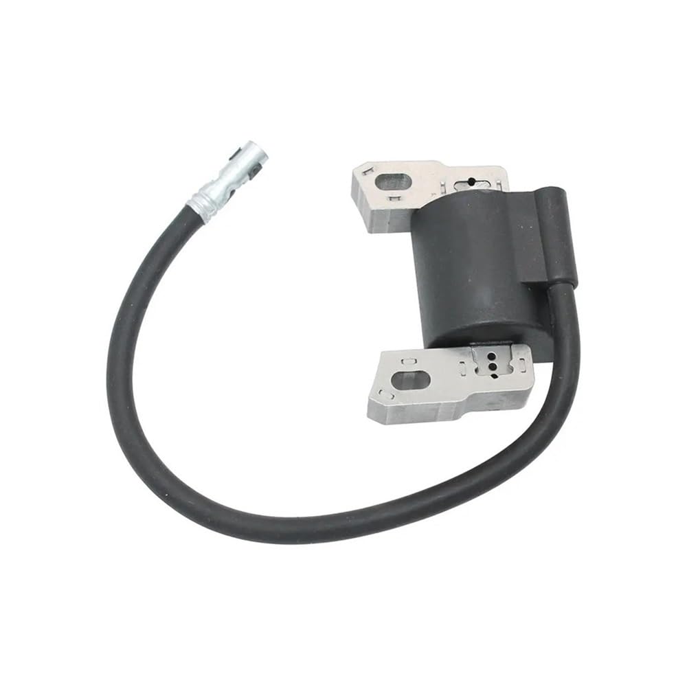Bobina de encendido de alta estabilidad para motores BS 12F802 y 128T02
