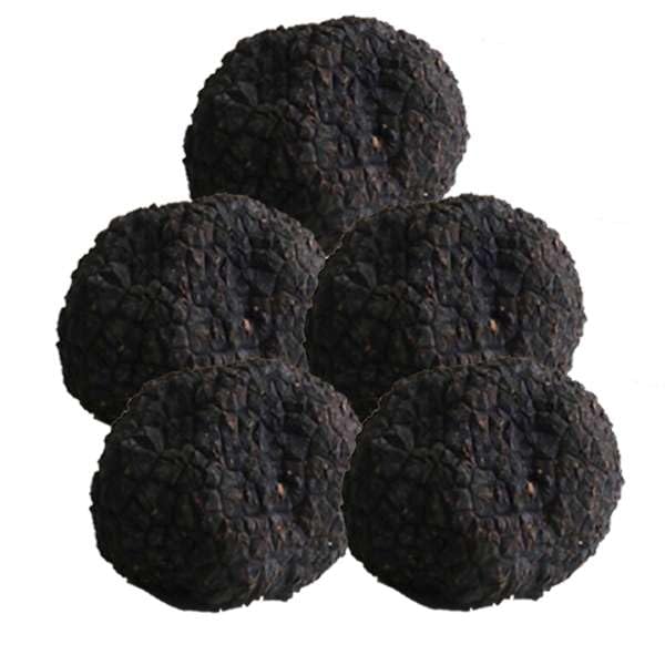 Trufa de verano 200gr Trufa Aestivum