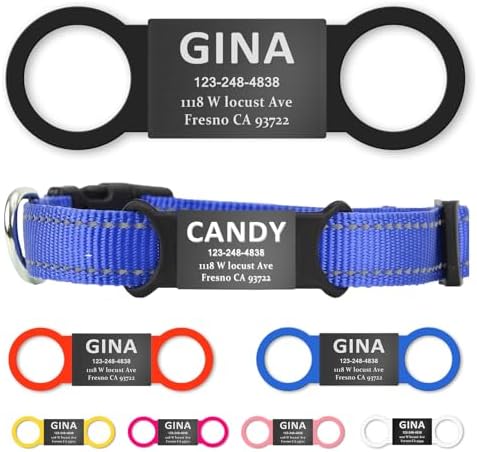 Personalized Stainless Steel Pet ID Tags for Dogs & Cats - Laser ...