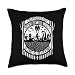 Cryptid Gifts For Men Women Kids! Sasquach Ufo's. Cryptozoology Bigfoot Loch Ness Mothman and Aliens Cryptid Throw Pillow, 18x18, Multicolor