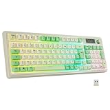 DIMENSIONS ET POIDS: 41.2 x 15.8 x 5.2 cm 910 grammes