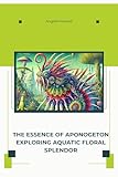 THE ESSENCE OF APONOGETON: EXPLORING AQUATIC FLORAL SPLENDOR
