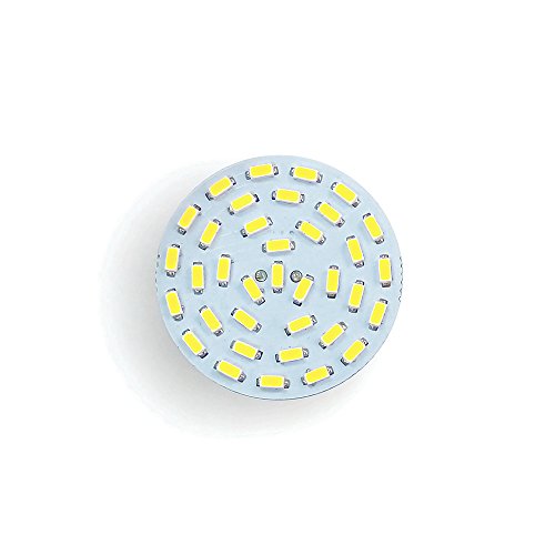 RV Lighting Eco-LED Cold White LED G4 Bulb, with 36 SMD 3014 & Back Connector(BG4-CW36)