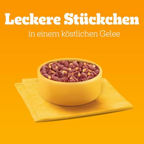 Pedigree Hund Portionsbeutel Protein Plus mit Stückchen in Gelee für ausgewachsene Hunde 4 x 12 x 85 g