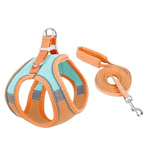 Foodie Puppies Cat Harness with 1.5m Leash – Medium | Escape Proof Harness & Leash Set | Cat Belt Adjustable Size Breathable Vest Strap with Safety Reflective Strip for Cat and Small Dog